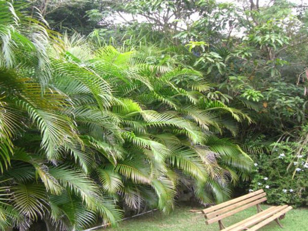 Htl Telhado Verde Armacao dos Buzios ภายนอก รูปภาพ